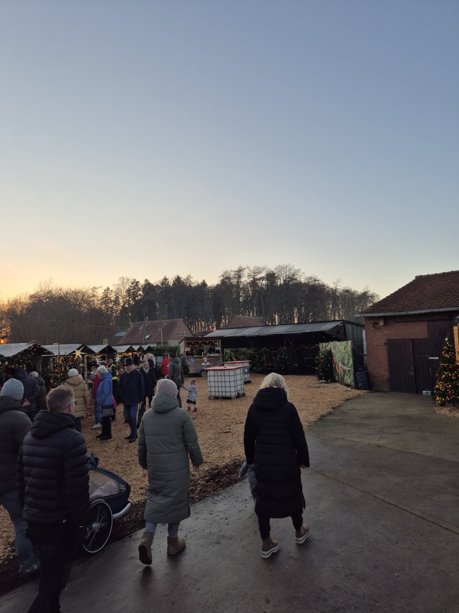Langsam füllt sich der Markt