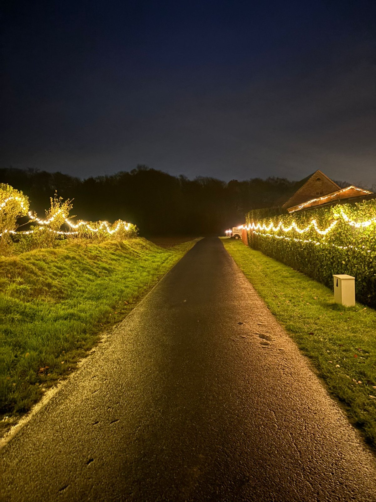 Vorbereitung: Stimmungsvollen Weihnachtsmarkt in Seeste 